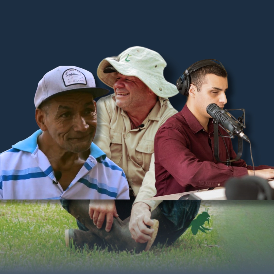 Portada sección documentales - Jose David Espinal